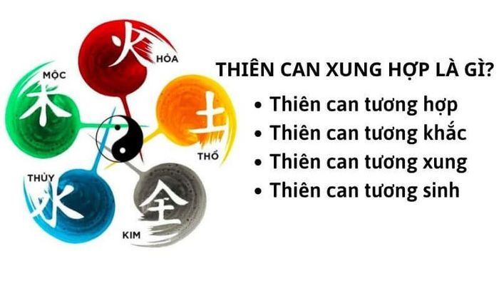 Thiên can xung hợp là gì?