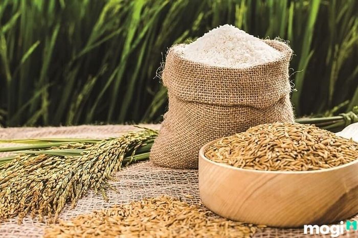 Tết Hạ Nguyên thường tặng quà là lúa nếp mới