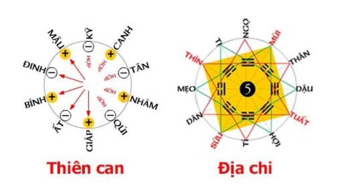 Ý nghĩa và sự tương hợp, khắc kỵ của Thiên can Địa chi trong phong thủy