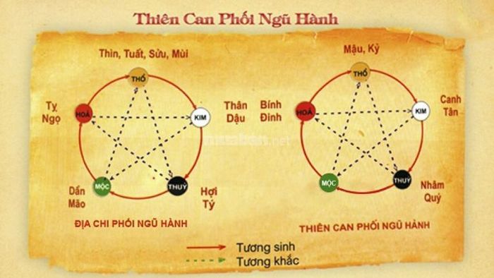 Nguồn gốc của Thiên can Địa chi trong phong thủy