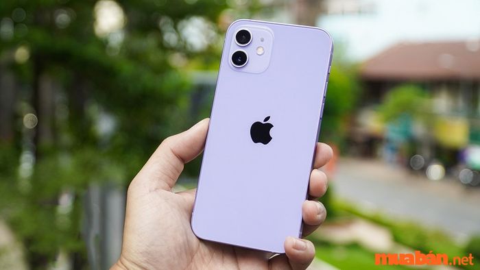 Mệnh Hỏa hợp màu gì?
