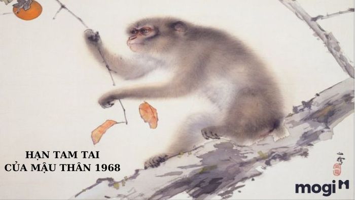 Cách tính hạn tam tai cho người tuổi Thân 1968