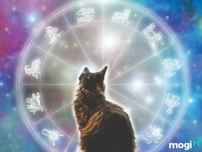 Tuổi Mão là con gì?