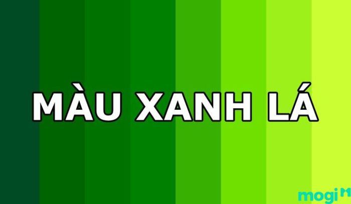 Tháng 5 là cung gì - Song Tử rất hợp với những màu sắc xanh lá cây.