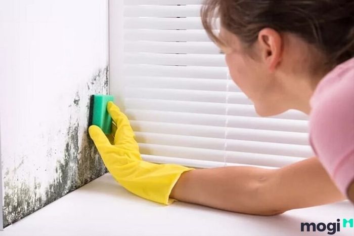 Đừng quên vệ sinh định kỳ các khu vực trong nhà để giữ cho không gian luôn sạch sẽ và sáng bóng.