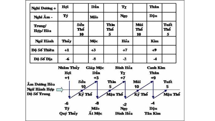 Sự hòa hợp giữa Ngũ hành âm dương và Thiên can Địa chi