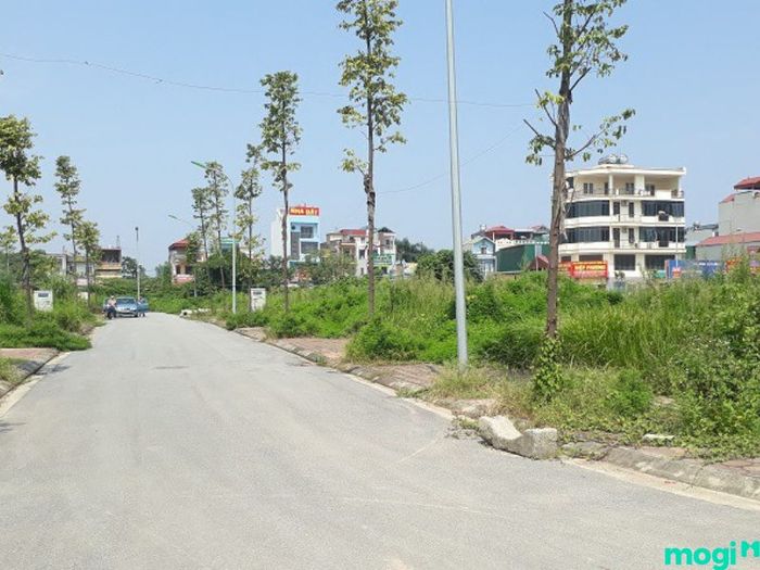 Đất đấu giá là gì?