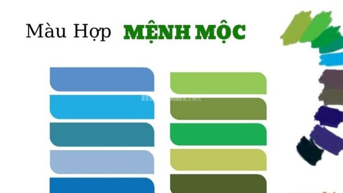 Mệnh Mộc hợp màu nào? Câu trả lời là các tông màu xanh lam, xanh da trời.