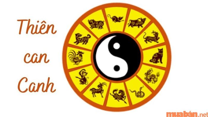 Thiên can của Canh Thìn có ảnh hưởng thế nào đối với năm 2024?