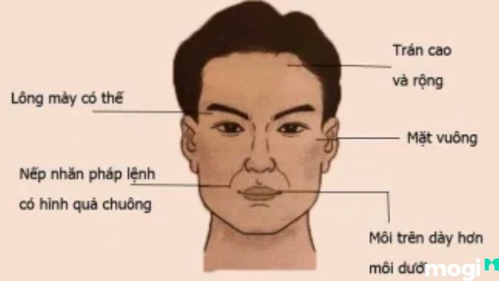 Tướng mặt đàn ông đểu