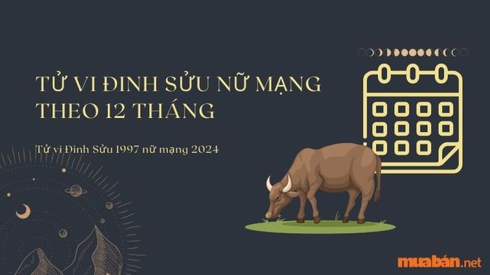 Phân tích chi tiết lá số Tử vi Đinh Sửu 1997 nữ mạng năm 2024 theo các tháng trong năm.