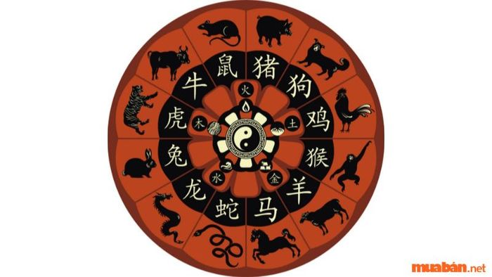 Tử vi Bính Tý 1996 nam mạng năm 2024 theo cung phi