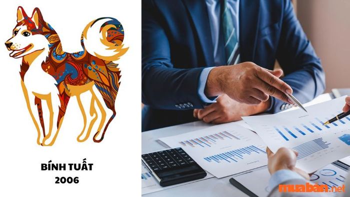 Trong năm 2024, nam Bính Tuất sẽ gặp nhiều thuận lợi trong công việc và tài chính.