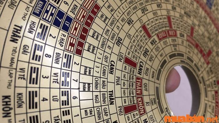 Dự đoán tử vi Mậu Tý 2008 nữ mạng năm 2024 theo thiên can