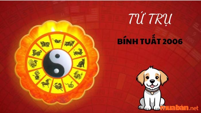 Tứ trụ của nam mệnh tuổi Bính Tuất 2006 sẽ mang lại nhiều điều thuận lợi, đặc biệt là trong học tập và sự nghiệp.