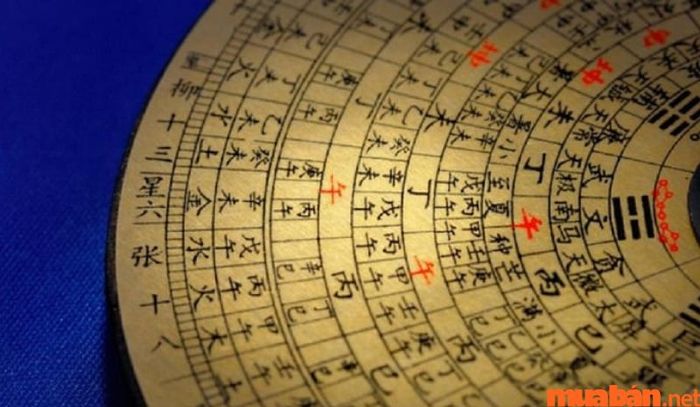 Theo thiên can, năm 2024 sẽ có quý nhân xuất hiện giúp đỡ chủ mệnh trong công việc và cuộc sống.