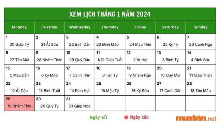 Xem luận giải chi tiết ngày 29 tháng 1 năm 2024