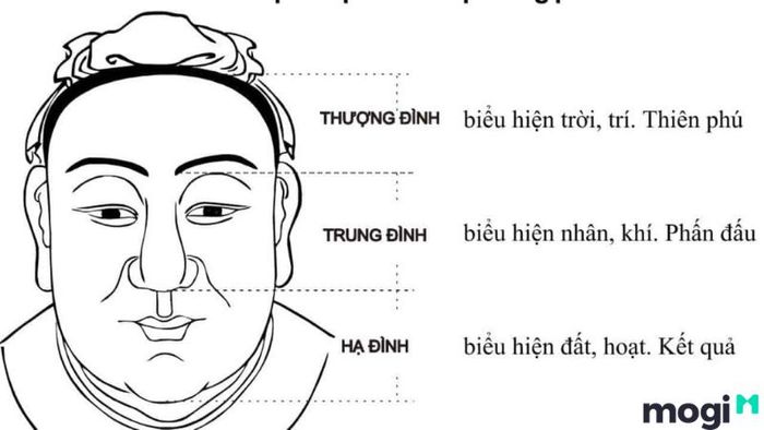 Tướng Mặt Của Những Người Đàn Ông Đểu
