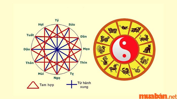Tuổi Canh Tý 1960 có gặp phải Tam Tai không?