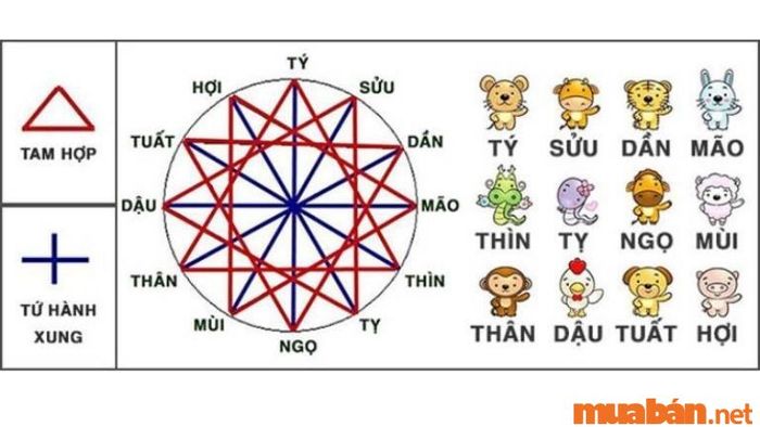 Tử vi Bính Thìn 1976 nam mạng xét theo địa chi