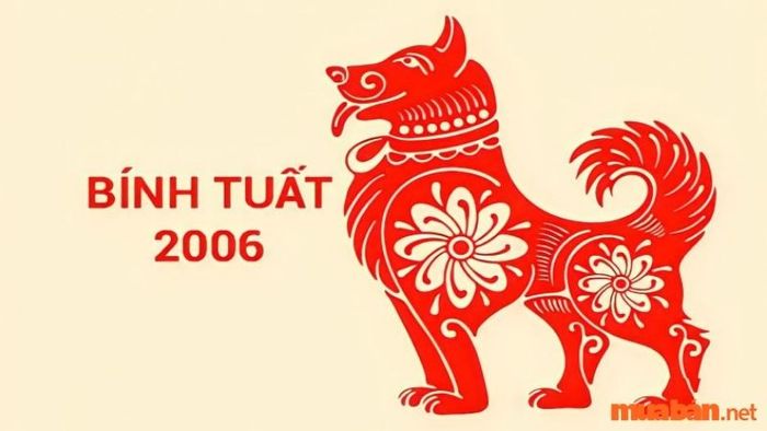 Những câu hỏi phổ biến về tử vi Bính Tuất nam mạng