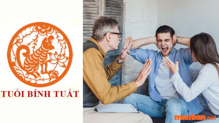 Nam Bính Tuất trong năm 2024 có thể gặp phải một số vấn đề rắc rối trong gia đình, dẫn đến căng thẳng với người thân.