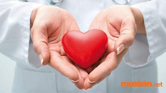 Sức khỏe của người tuổi Tý trong năm 2024 được đánh giá ổn định, nhưng vẫn cần lưu ý phòng ngừa một số vấn đề sức khỏe.