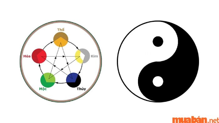 Tứ trụ trong tử vi Bính Thìn 1976 nam mạng năm 2024