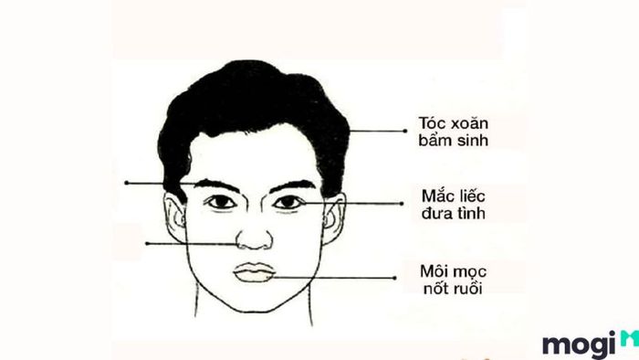 Tướng mặt đàn ông đểu