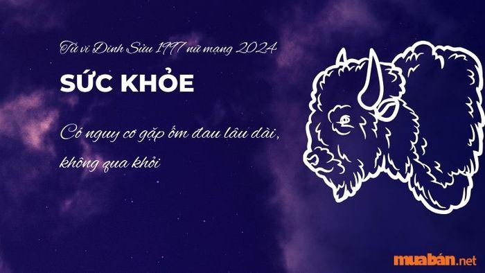 Xem tử vi Đinh Sửu nữ mạng năm 2024 chi tiết về các phương diện công danh, sự nghiệp, tình cảm, tài lộc sẽ giúp bạn biết được năm nay có hung hay cát.