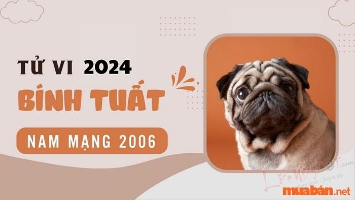Tử vi Bính Tuất 2006 nam mạng năm 2024: Dự báo chi tiết về tương lai