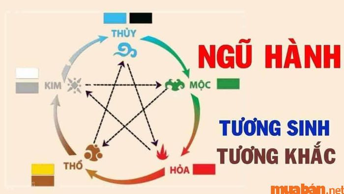 Phân tích tử vi Bính Thìn 1976 nam mạng theo ngũ hành