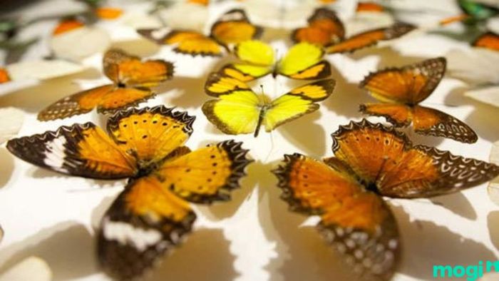Những ứng viên tài năng thường sẽ bị thu hút bởi các doanh nghiệp có mức lương cạnh tranh