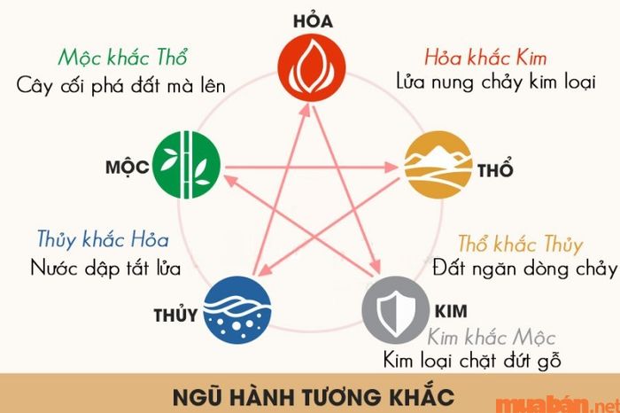 Mối quan hệ ngũ hành trong tử vi Canh Thìn 2000 nữ mạng năm 2024