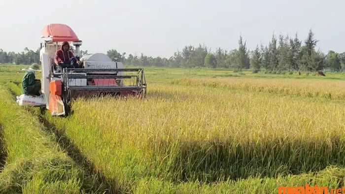 Ứng dụng tiết khí trong đời sống và phong thủy như thế nào?
