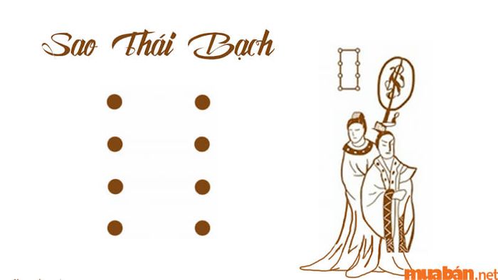 Phân tích sao chiếu mệnh của nam Bính Thìn 1976 năm 2024