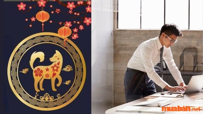 Nam mệnh Bính Tuất năm nay nên tiếp tục giữ vững công việc hiện tại, tránh những thay đổi lớn hoặc sự chuyển hướng đột ngột, để công việc ổn định và phát triển bền vững.
