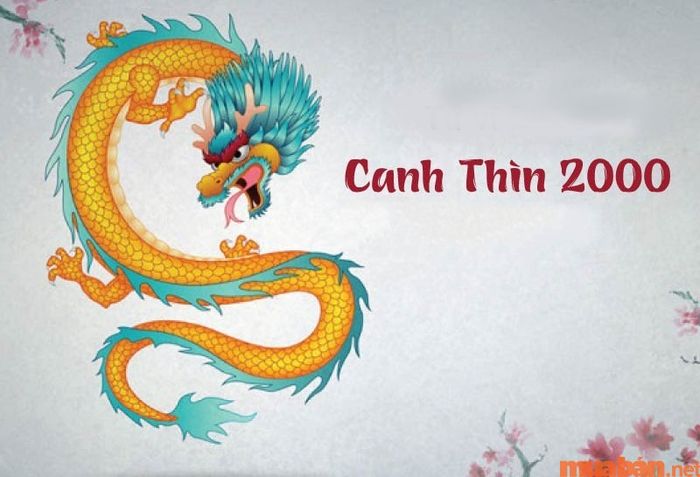 Tử vi phong thủy tuổi Canh Thìn 2000 nữ mạng năm 2024
