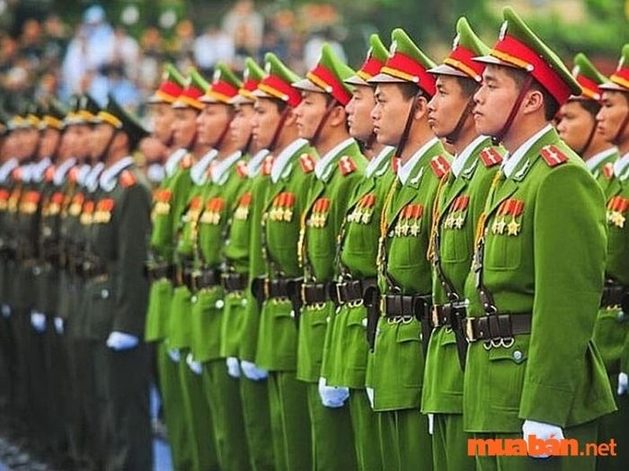 Sĩ quan là gì?