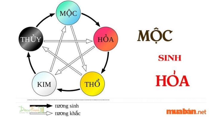 Trong năm Giáp Thìn 2024, thiên can Giáp (Mộc) gặp thiên can Bính (Hỏa) tạo ra một mối quan hệ Bình Hòa cho nam mạng Bính Tuất, tạo điều kiện cho một năm ổn định về công việc và cuộc sống.