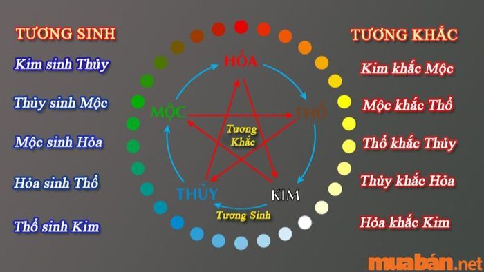 Tử vi nữ Nhâm Tý 1972 năm 2024 qua ngũ hành và thiên can