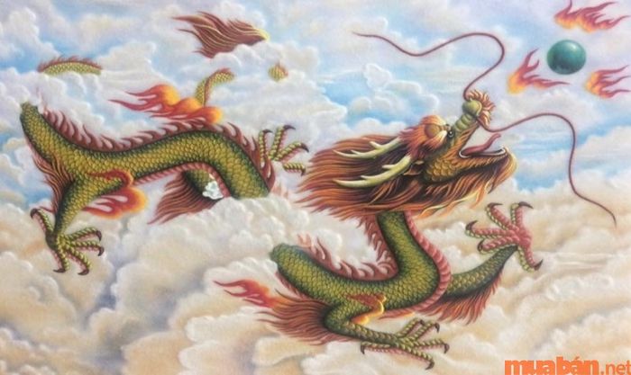 Địa chi của người sinh năm 2000 trùng với địa chi của năm 2024