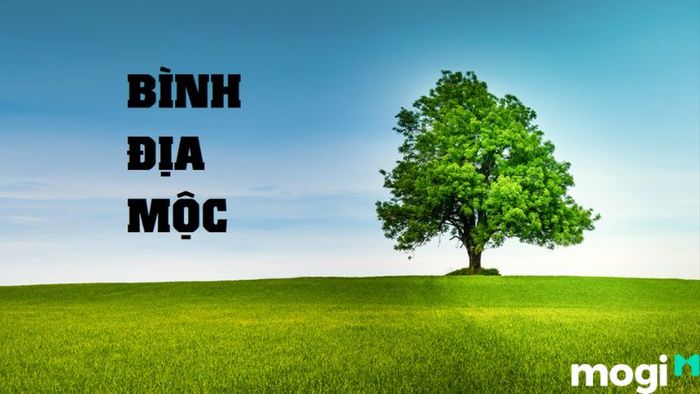 Bình Địa Mộc là gì?