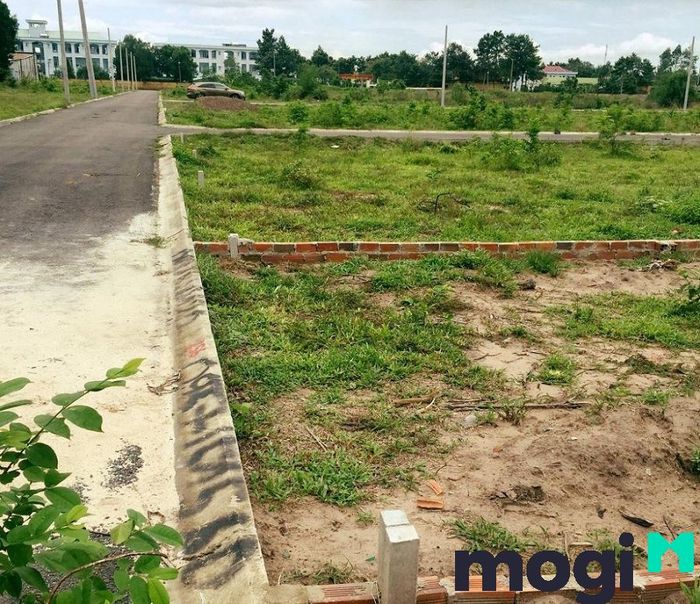 Thông tin cần biết khi mua đất