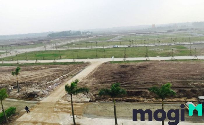 Những thông tin quan trọng cần nắm khi mua đất