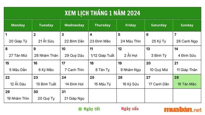 Đọc luận giải chi tiết cho ngày 28/1/2024