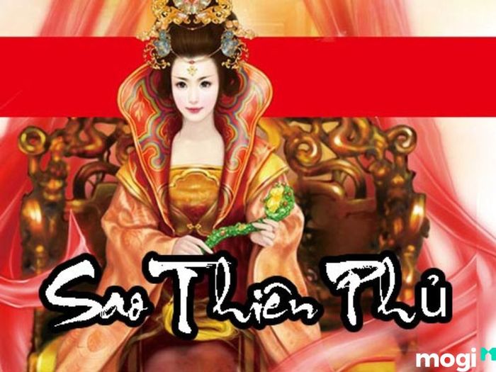 Sao Thiên Phủ đóng tại cung Nô, cho thấy người đó có mối quan hệ bạn bè rộng rãi. Tuy nhiên, cần lưu ý để tránh bị vướng vào những mối quan hệ xấu hoặc bạn bè không đáng tin cậy.