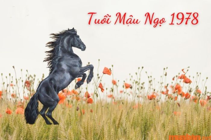 Phong thủy cho nữ mạng tuổi Mậu Ngọ