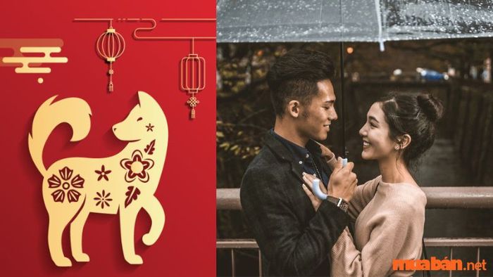 Trong năm 2024, nam Bính Tuất sẽ có cơ hội mới trong chuyện tình cảm, có thể gặp được người phù hợp.