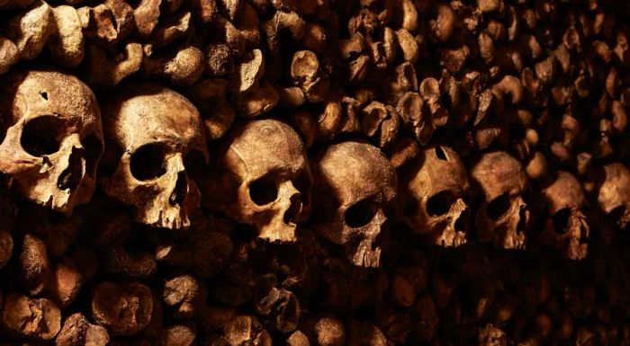 Approximately 500,000 people explore the Catacombs each year, yet none have ever spent the night.